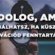 5 dolog, amit kipróbálhatsz, ha küszködsz a motivációd fenntartásával