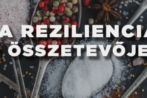 A reziliencia 6 összetevője