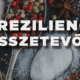 A reziliencia 6 összetevője