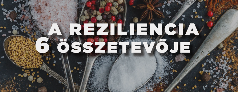 A reziliencia 6 összetevője